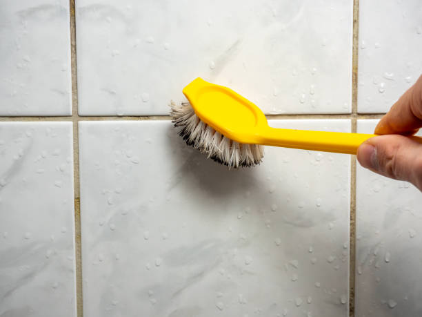 Best Certified Mold Removal  in Kibler, AR