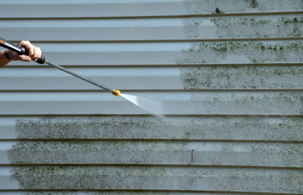 Best Fast Mold Removal  in Kibler, AR