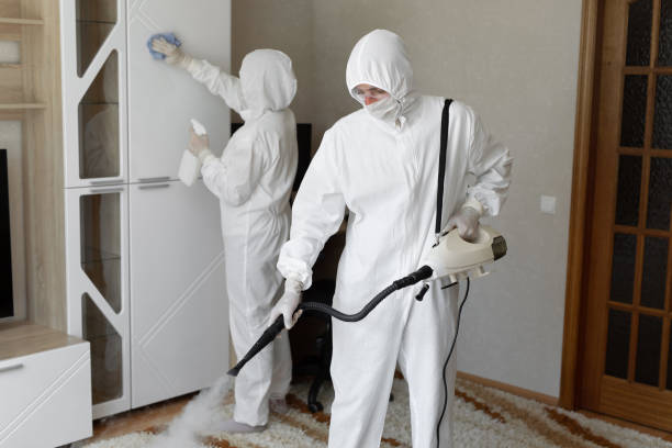 Best Mold Removal Specialists  in Kibler, AR
